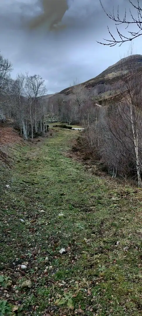 Finca rústica en venda en Espinosa de los Monteros amb Jardí privat