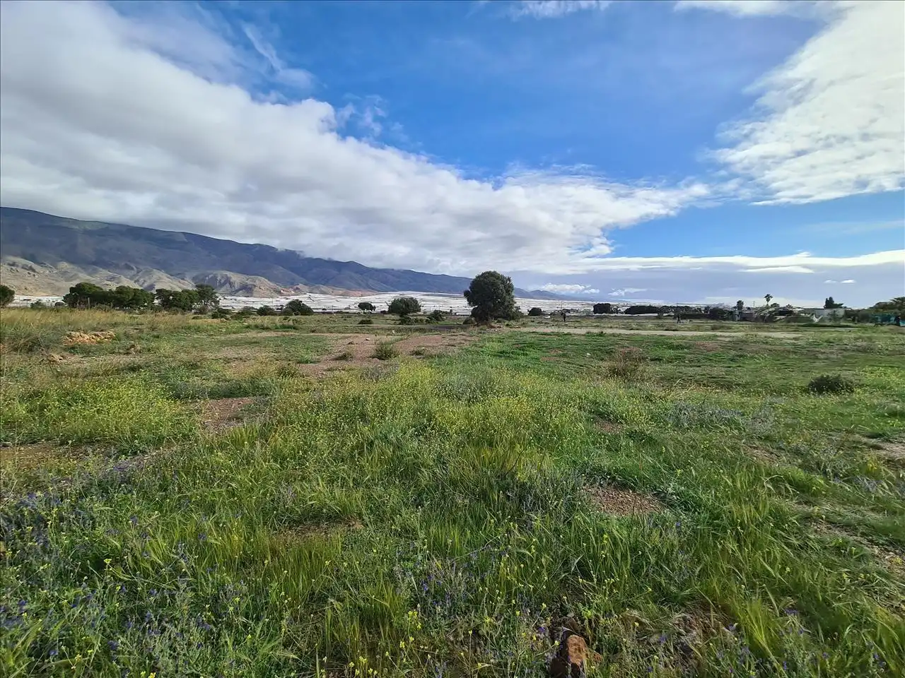 Terreno residencial en venta en El Ejido Ciudad, imagen 5