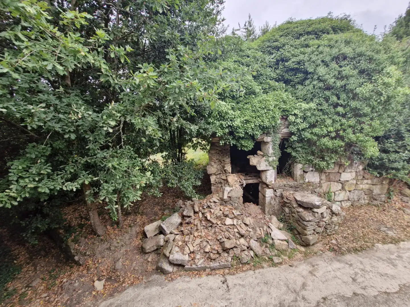 Vista exterior de Casa o xalet en venda en Gomesende amb Jardí privat, Terrassa i Balcó