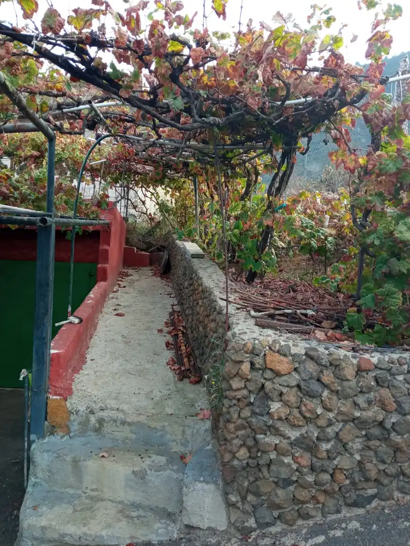 Terreno rustico in vendita a Las Cuevas - Los Gómez, imagen 16
