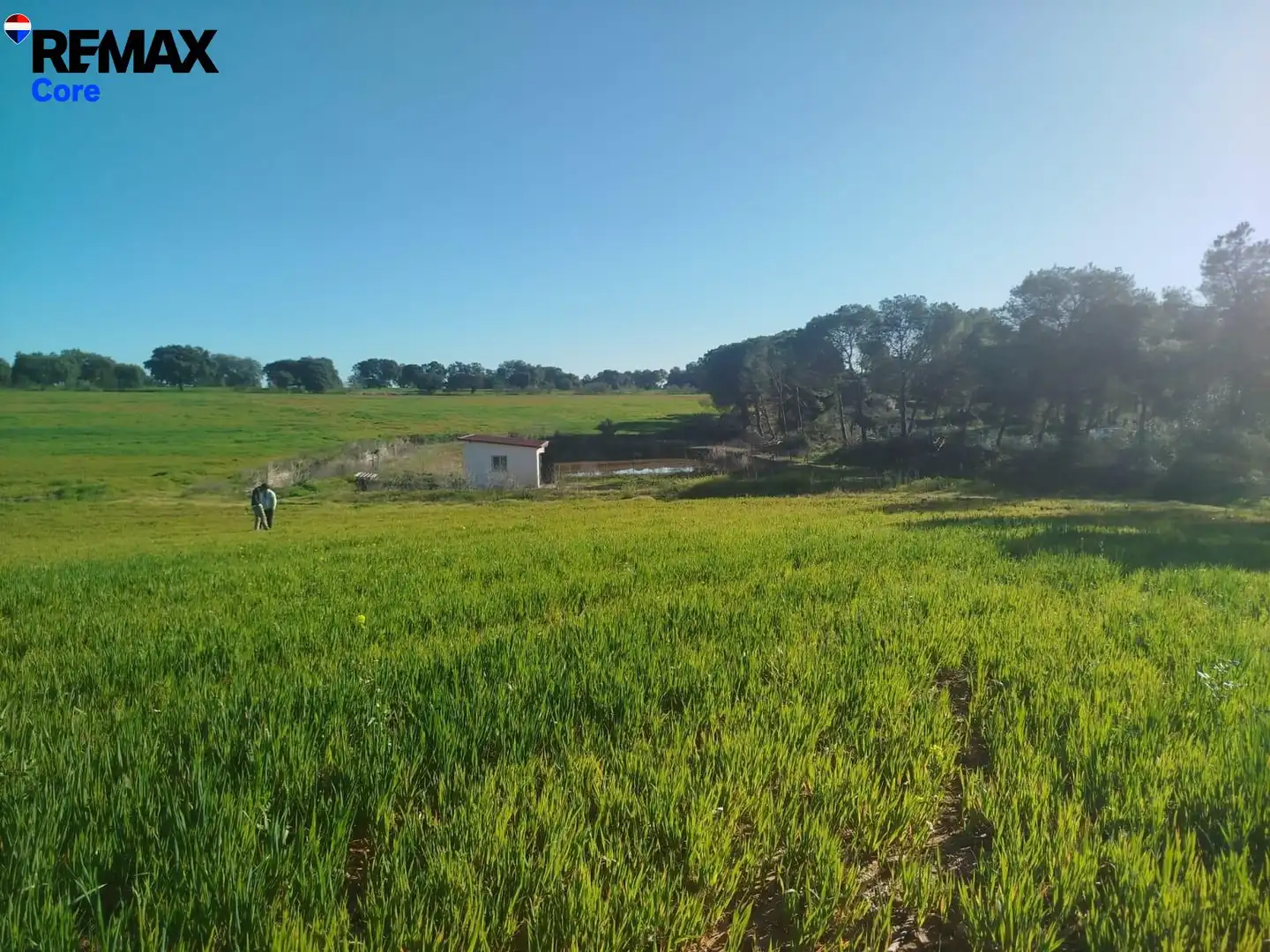 Land for sale in Mérida