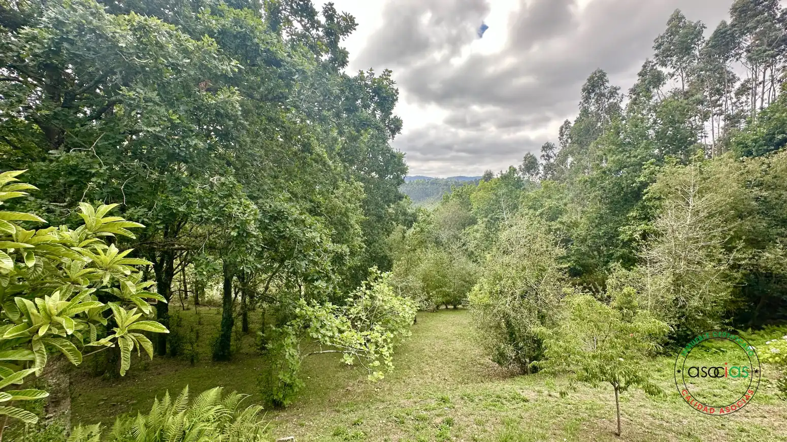 Maison à vendre à Camino del Molín 548, imagen 7