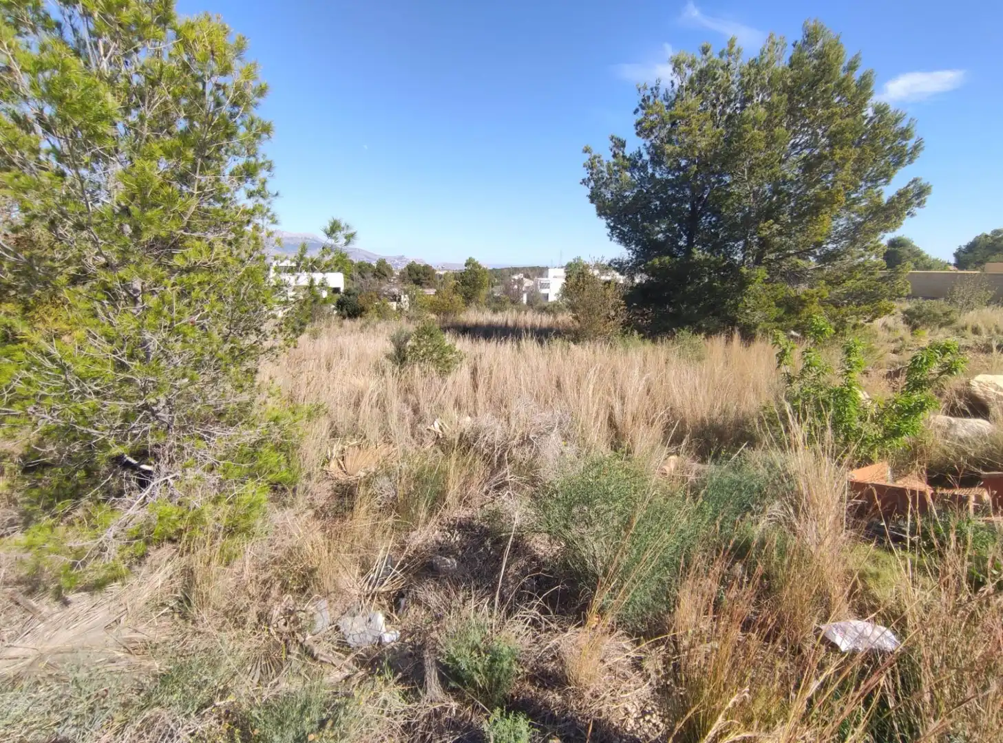 Wohnbaugrundstück zum Verkauf in La Alberca, imagen 8