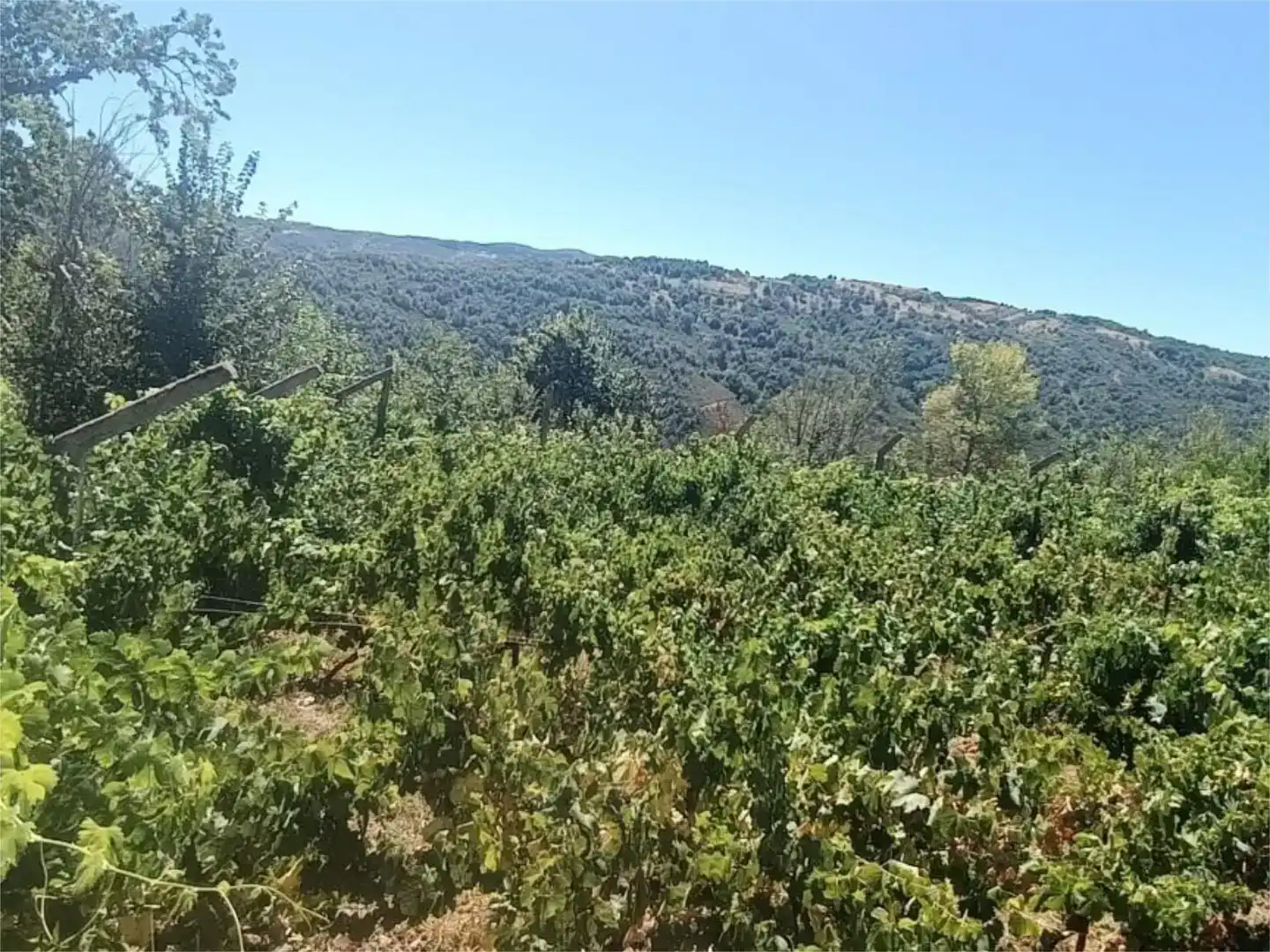 Pis en venda en Riós amb Jardí privat, Moblat i Balcó