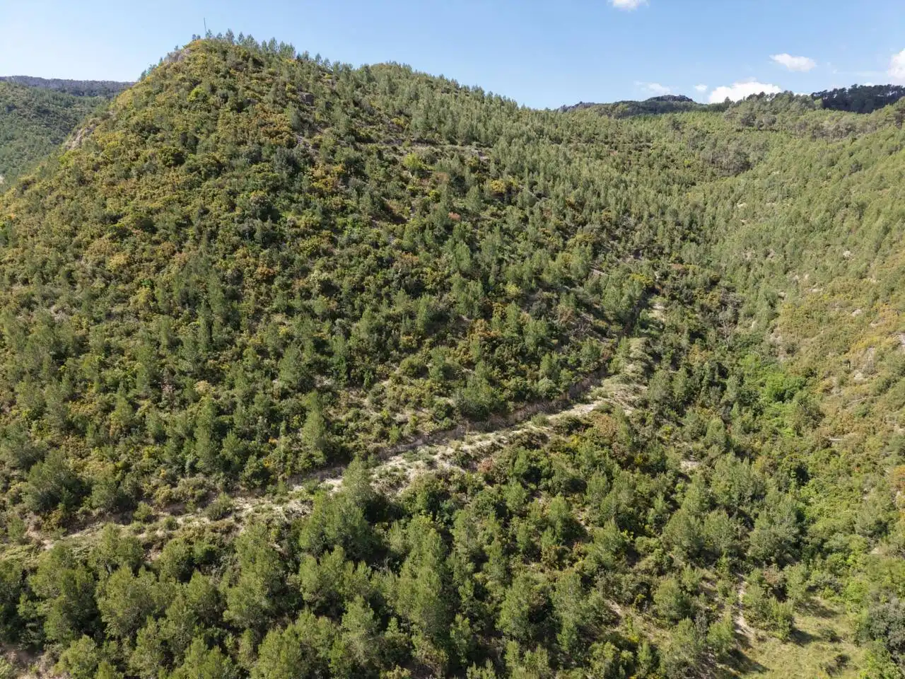 Country house with garden for sale in Constitució, imagen 5