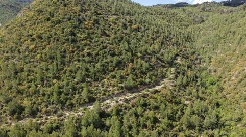 Foto 5 de Finca rústica en venda a Constitució, Boadella i les Escaules, Girona