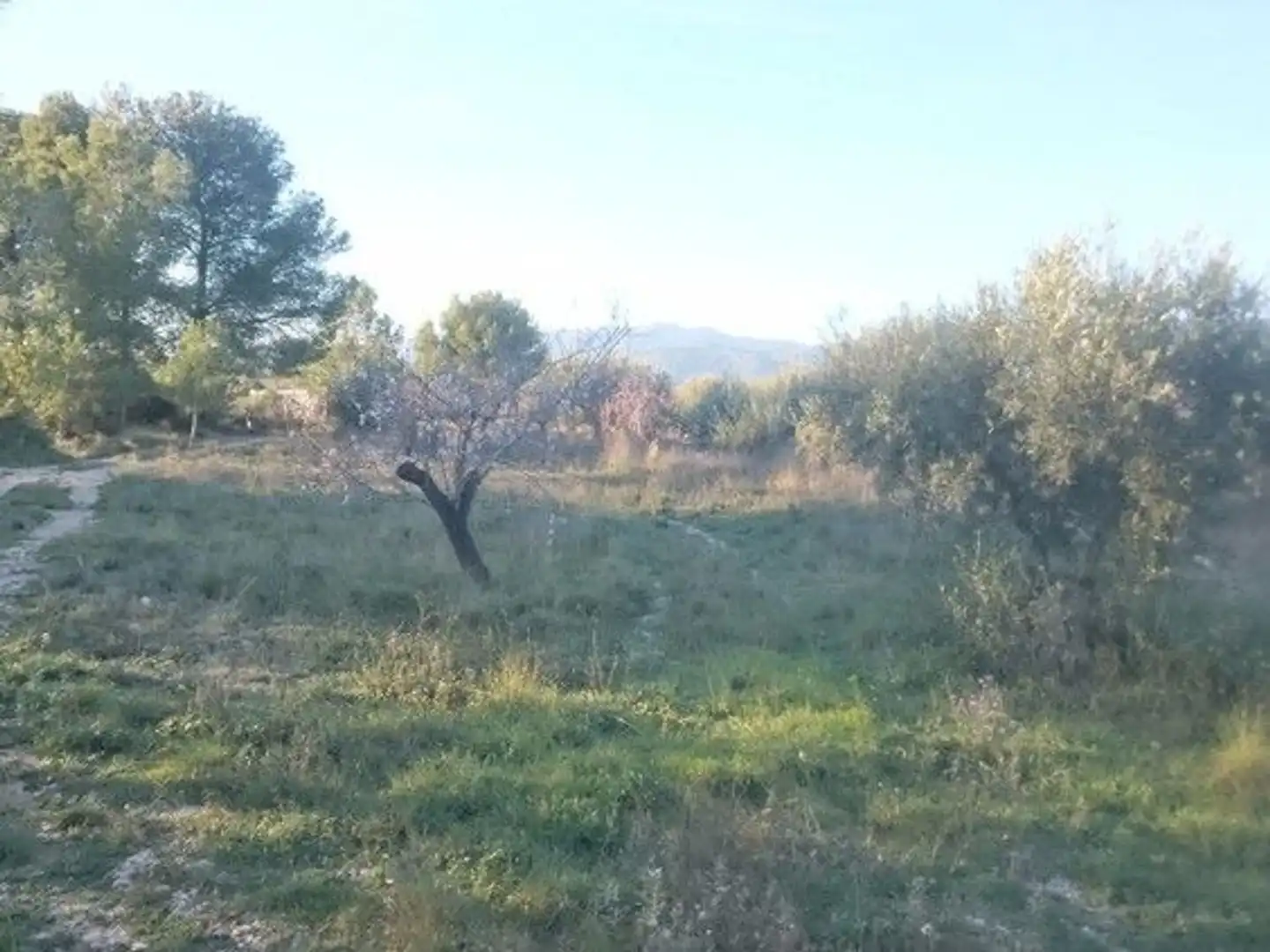 Terreni e lotti in vendita a Moratalla