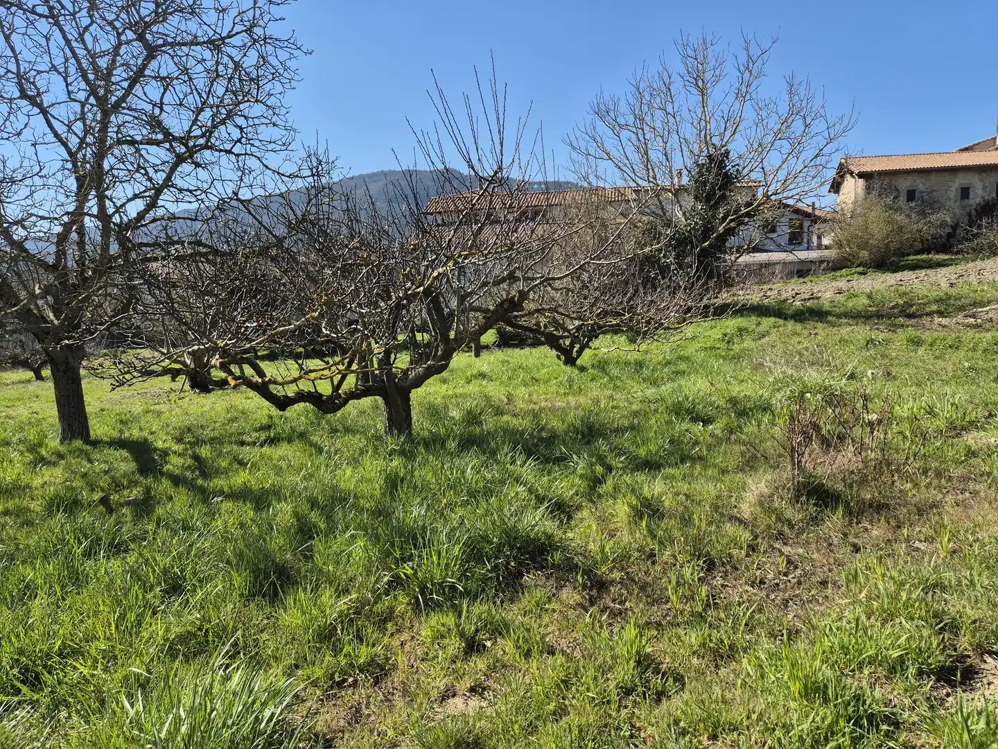 Residential land for sale in Calle San Juan 34, imagen 2