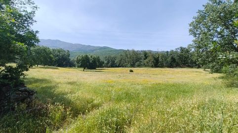 Terreno en venta en Hervás  Paraje La Romana, immagine 4