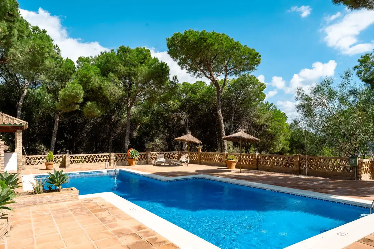 Bajo con piscina en venta en Nueva Andalucía, imagen 23