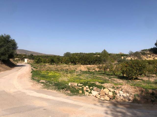 Terreno en Venta en Sellent