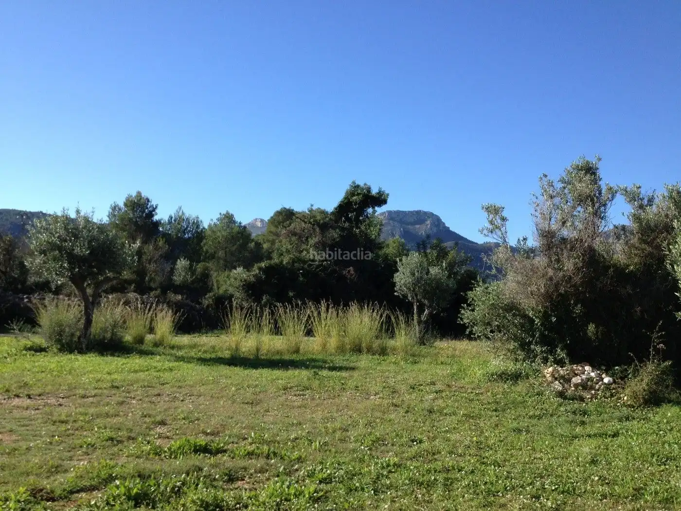 House with garden for sale in Camino Mento 18, imagen 8