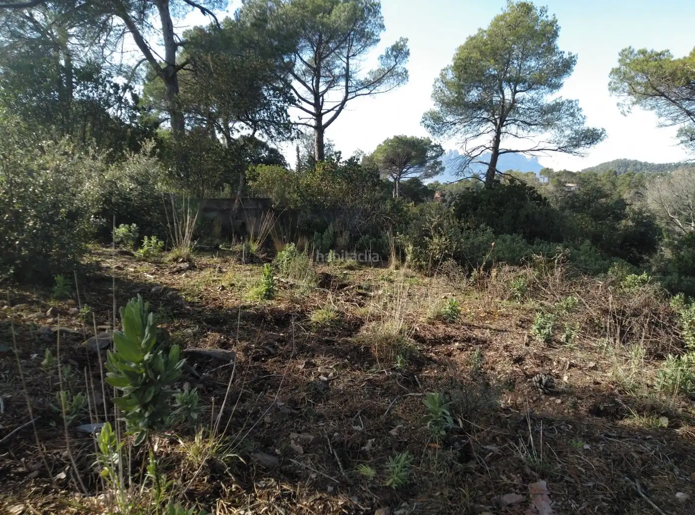 Terreny residencial en venda a Carrer Torrent del Llort 37, imagen 12