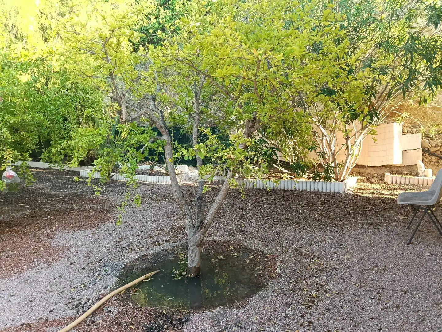 Jardín de Casa o chalet en venta en Pedanías Este