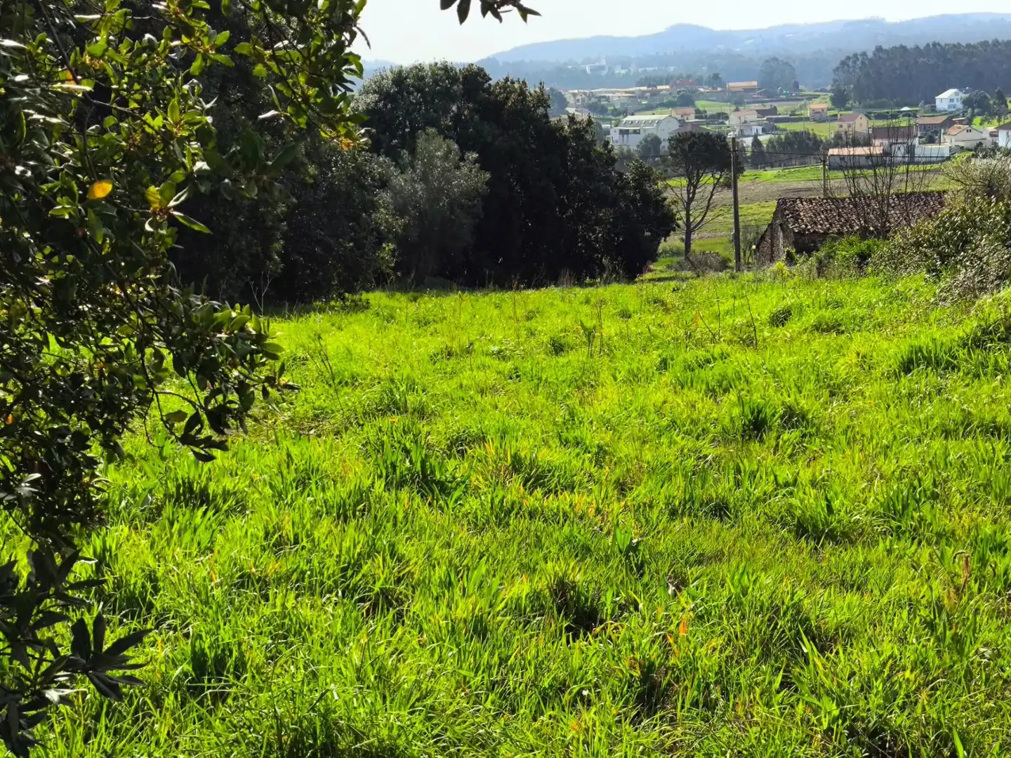 Terreni e lotti in vendita a Lugar PASACONDIA, imagen 2