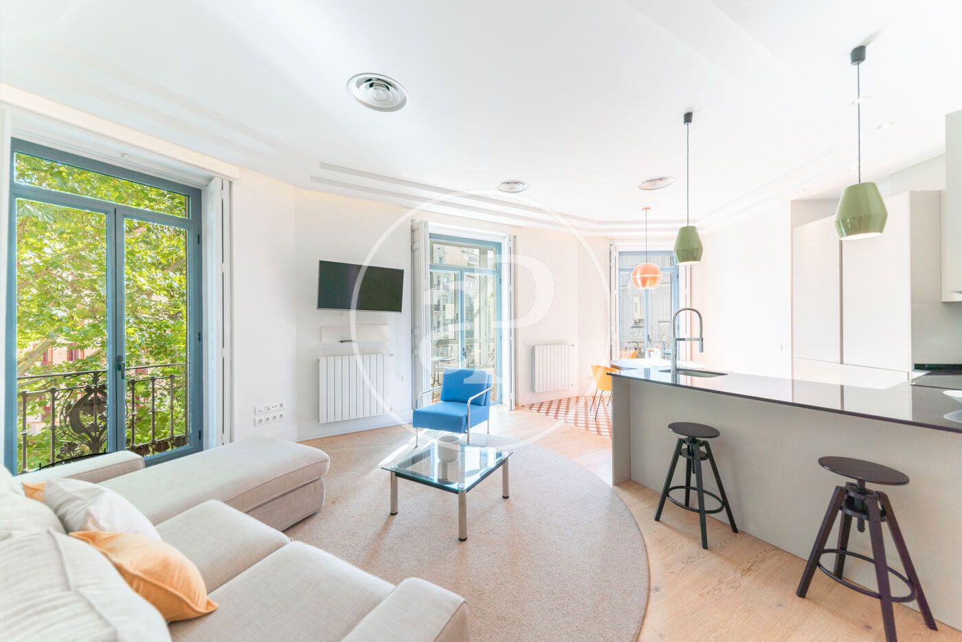 Living room of Flat to rent in  Madrid Capital  with Air Conditioner, Heating and Private garden