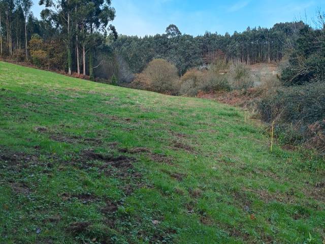 Terreno en Venta en Aldea el Caleyo, 4 en Pillarno