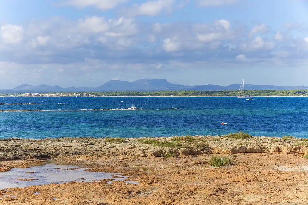 Casa rústica con piscina en venta en Ses Salines Poble, imagen 19