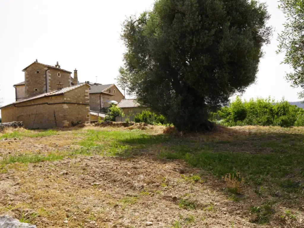 Terreni e lotti in vendita a Camino Casa Olivera(Lecina) 1, imagen 17