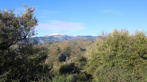 Foto 5 von Residential zum Verkauf in Polígono 8 Parcela 193 Loma del Esparragal. Tolox, 8, Tolox, Málaga