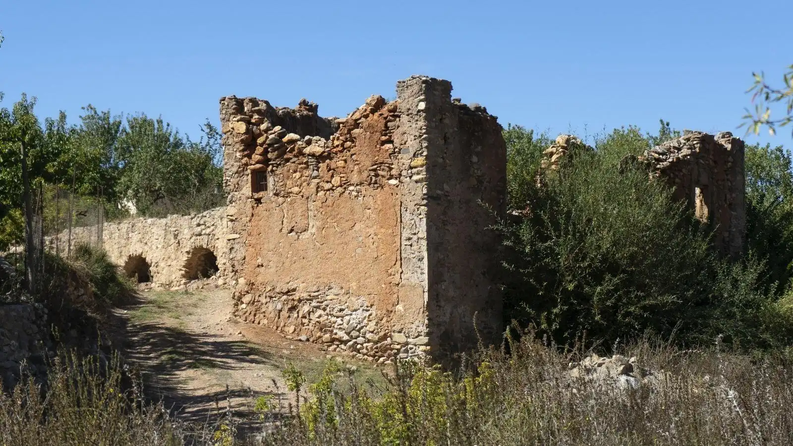 Terreny rústic en venda a PAGO ACEQUIA BAJA Polígono 11 Parcela 174 11, imagen 10