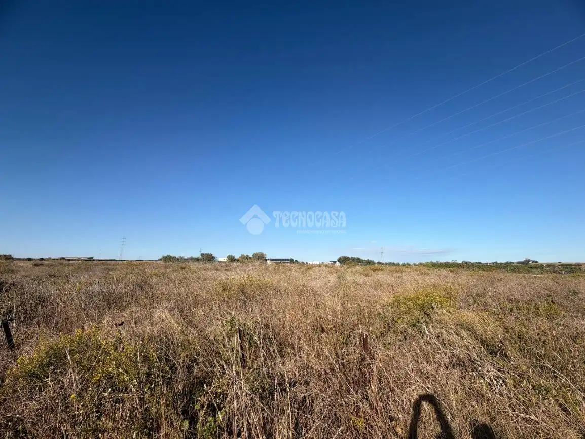 Terreno rústico en venta en Los Franceses – La Vega, imagen 16