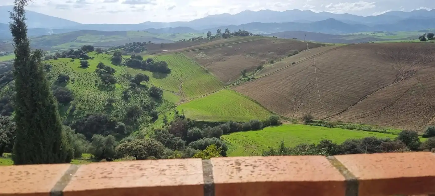 Vista exterior de Casa o chalet en venta en Casarabonela con Jardín privado, Terraza y Trastero