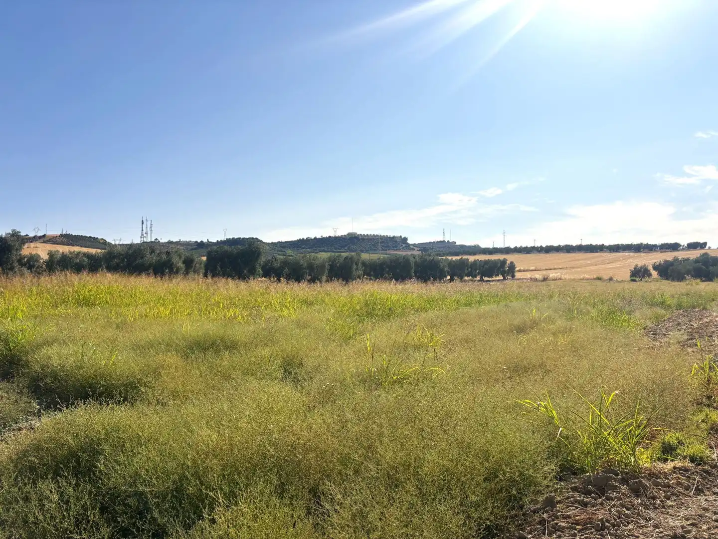 Rural land for sale in Valencina de la Concepción, imagen 5