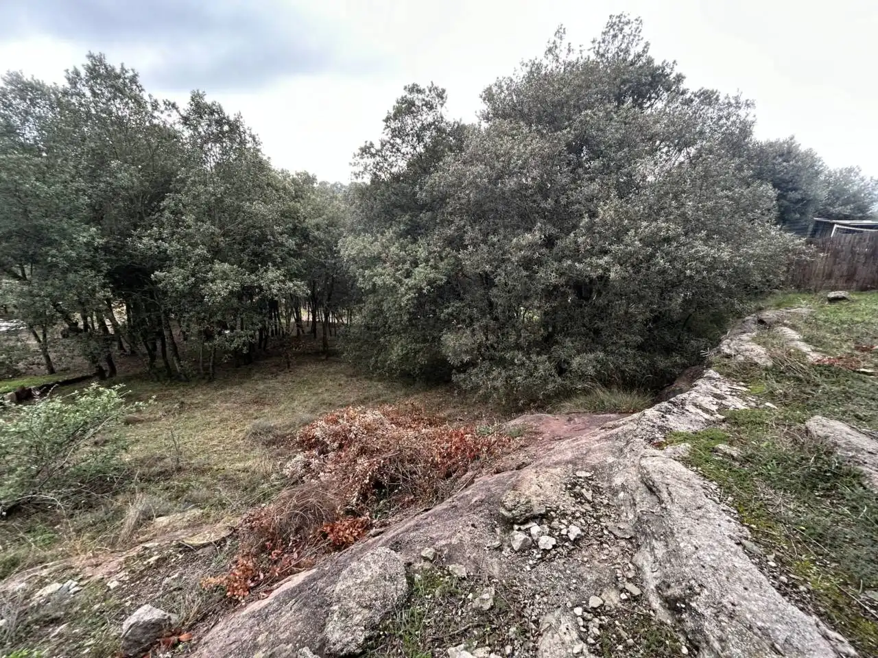 Residential land for sale in Calle de Puiglagulla 56, imagen 8