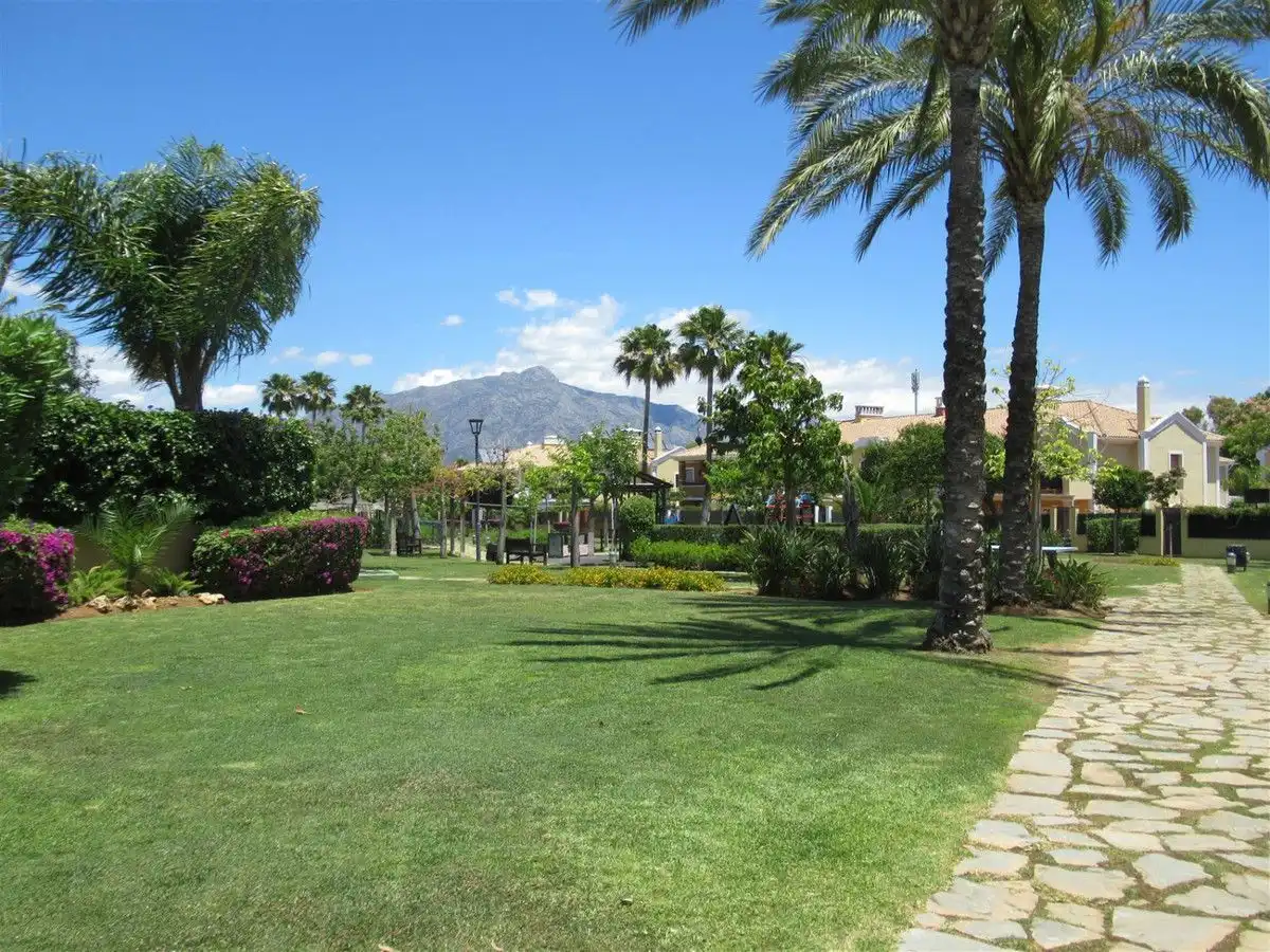 Detached homes for rent in Guadalmina Alta