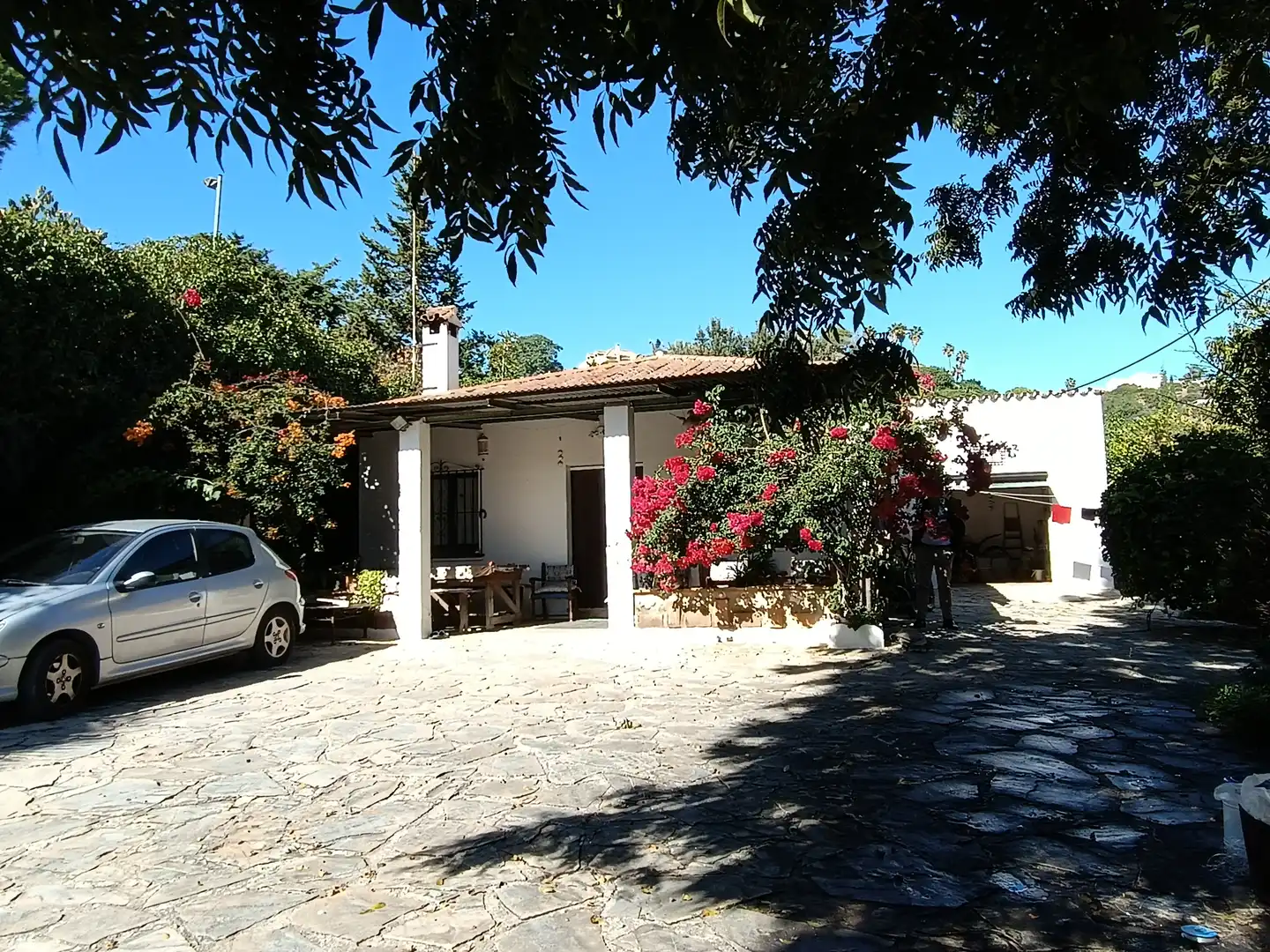 Vista exterior de Finca rústica en venta en Estepona con Jardín privado, Terraza y Amueblado