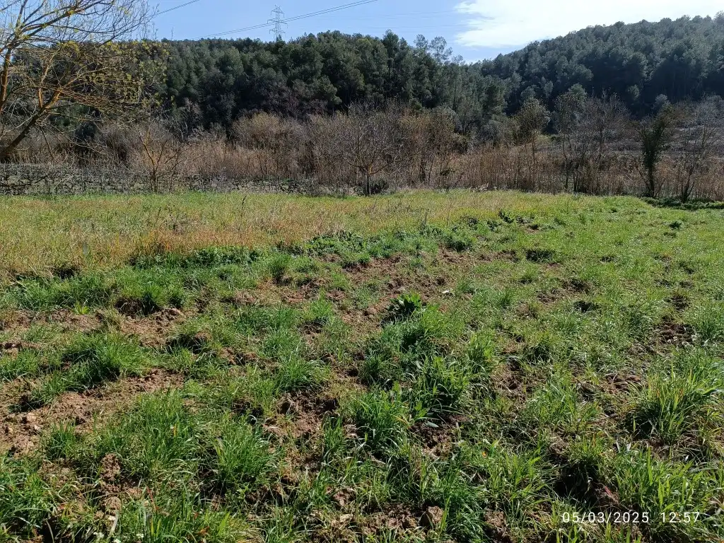 Rustikales Grundstück zum Verkauf in Sant Julià, imagen 2