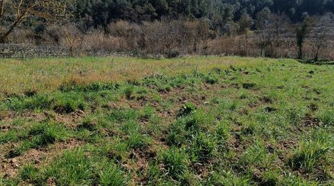 Foto 2 de Terreno en venta en Sant Julià, Vilafranca del Penedès