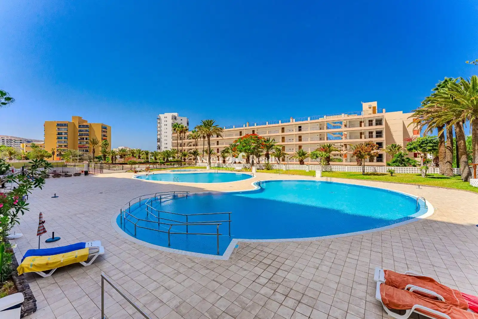 Swimming pool of Commercial properties for sale in Arona