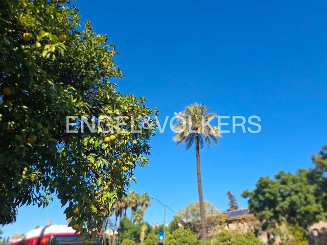 Casa adosada en Venta en Sector Sur  - La Palmera - Reina Mercedes