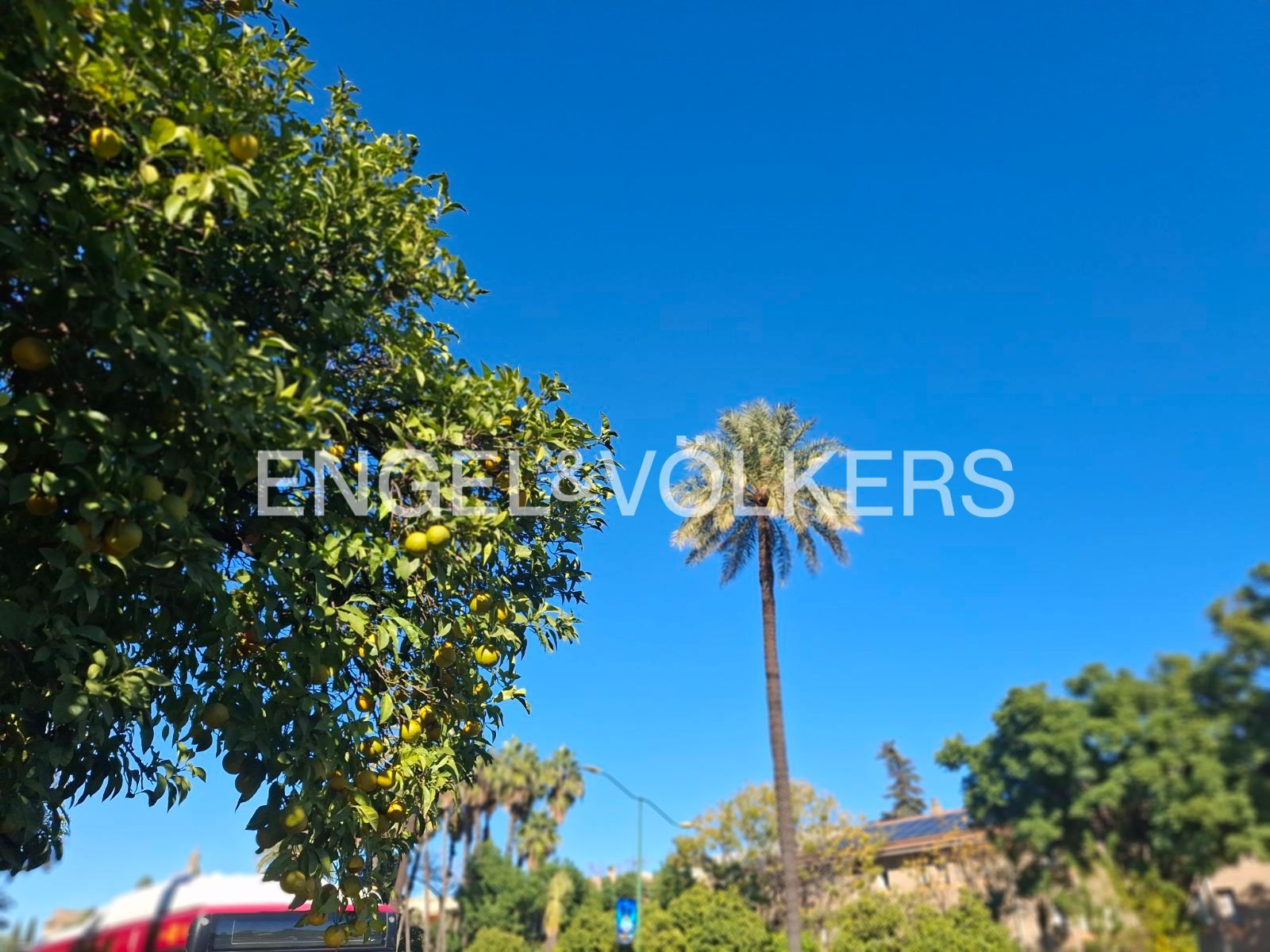 Exterior view of Single-family semi-detached for sale in  Sevilla Capital  with Heating and Private garden