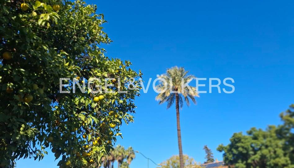 Foto 1 de Casa adosada en venda a Sector Sur  - La Palmera - Reina Mercedes, Sevilla