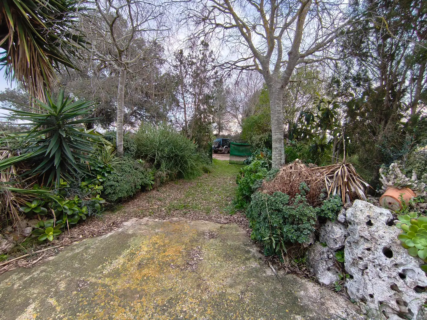 House with garden for sale in Algaida, imagen 10