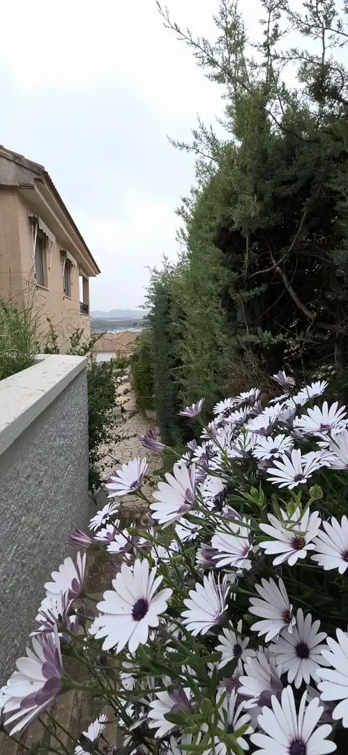 Chalet con terraza en venta en Caravaca de la Cruz, imagen 7