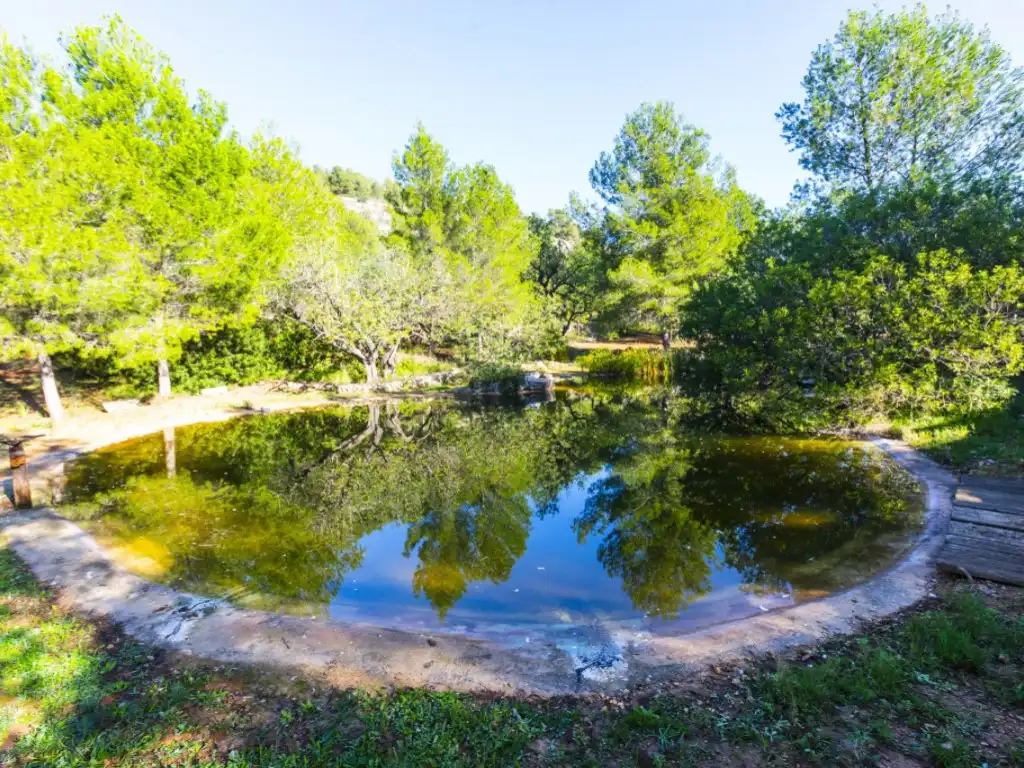 Piscina de Casa o xalet en venda en Borriol