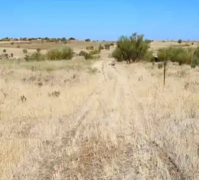 Terrenys i solars en venda a Higuera de Llerena, imagen 6