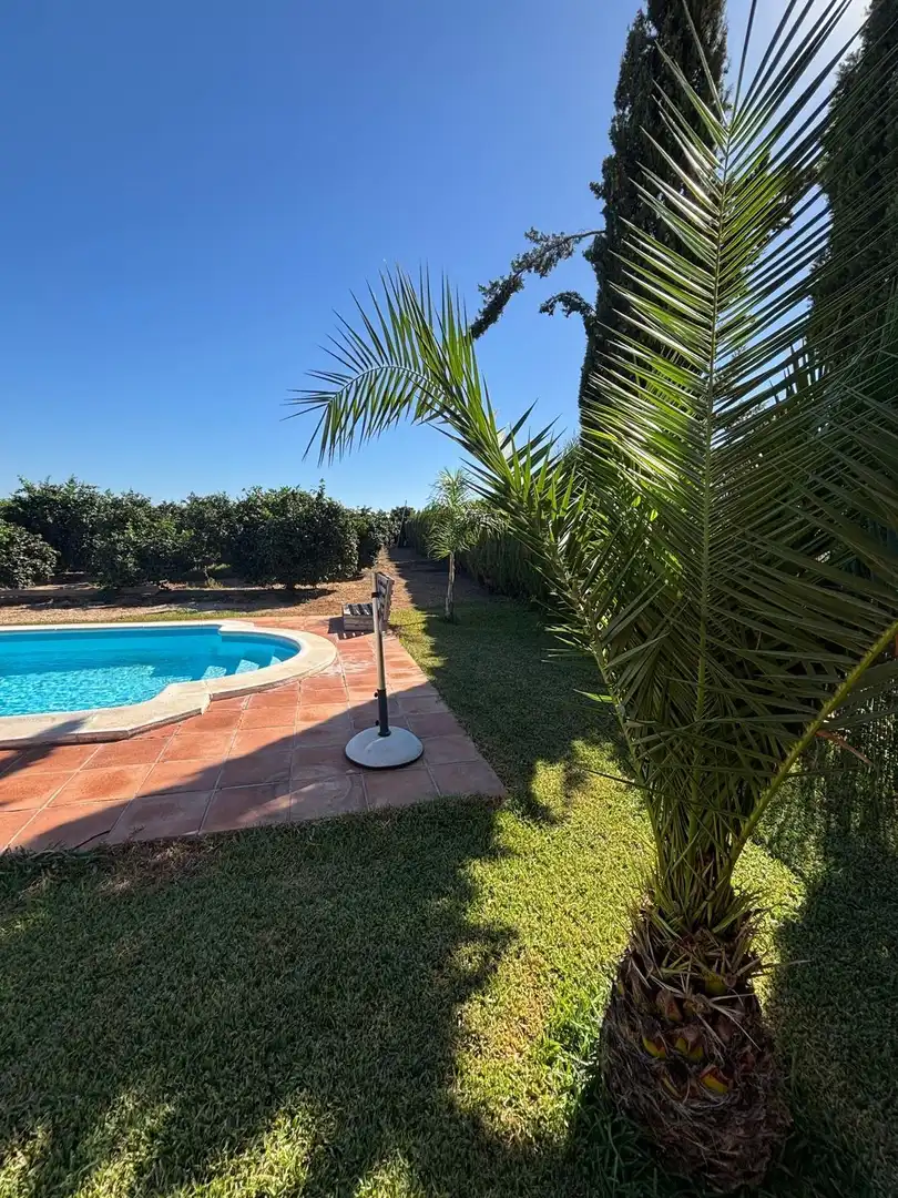 Casa rústica amb piscina en venda a Cantillana, imagen 5