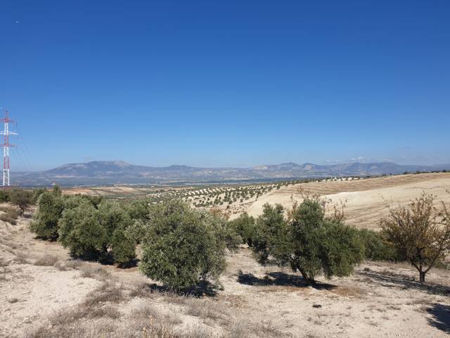 Terreno en Venta en Avenida de Granada, 1T en Chimeneas