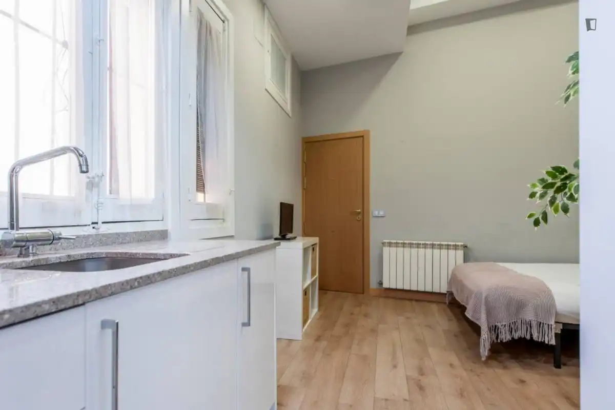 Estudio en alquiler en Centro, imagen 17