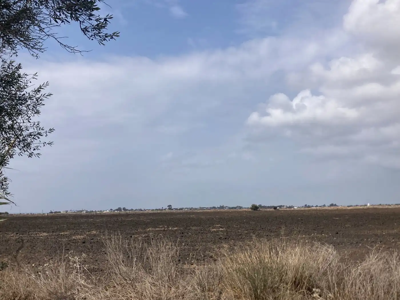 Terreni e lotti in vendita a El Palmar, imagen 6