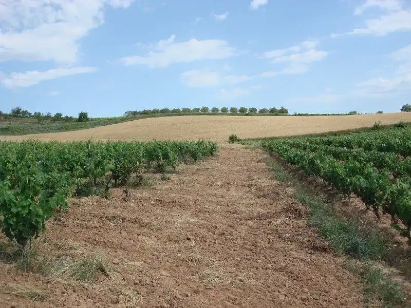 Terreny rústic en venda a Villamediana de Iregua, imagen 5