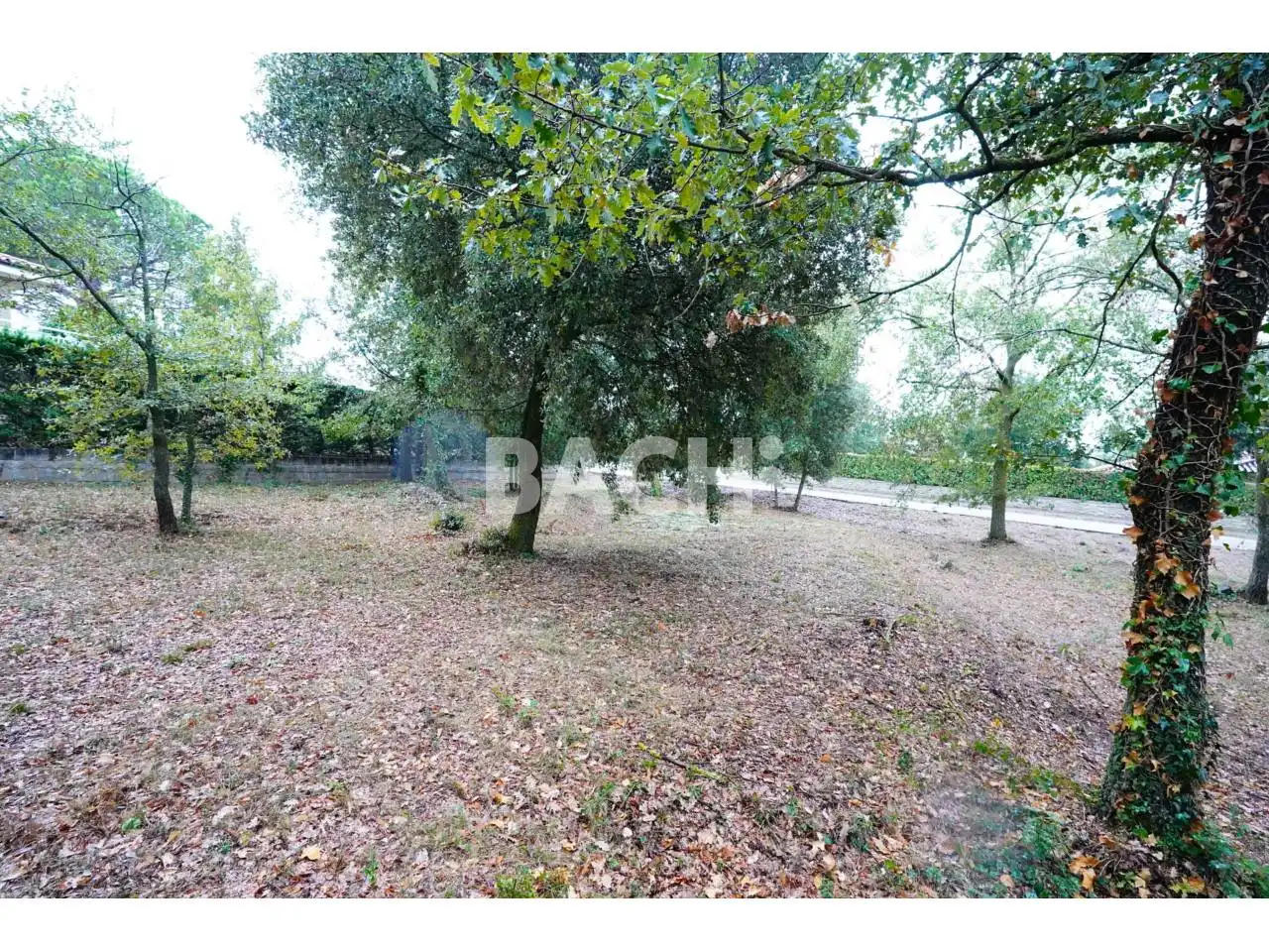 Terreno rustico in vendita a Avenida Goitallops 2, imagen 7