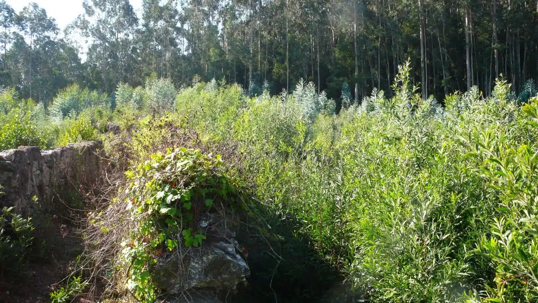 Terreni e lotti in vendita a Ramorta de Arriba, imagen 2