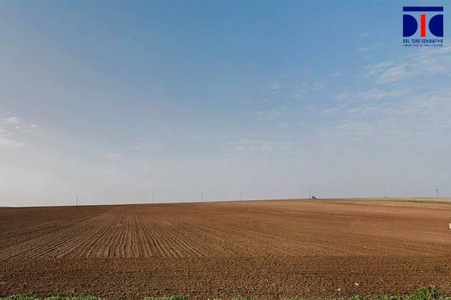 Terreno en Venta en Lebrija