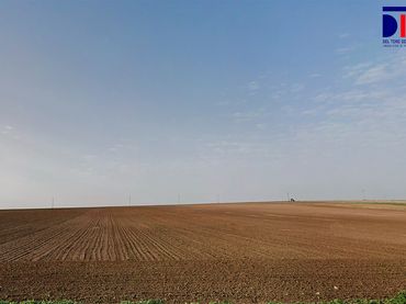 Terreno rustico in vendita a Lebrija